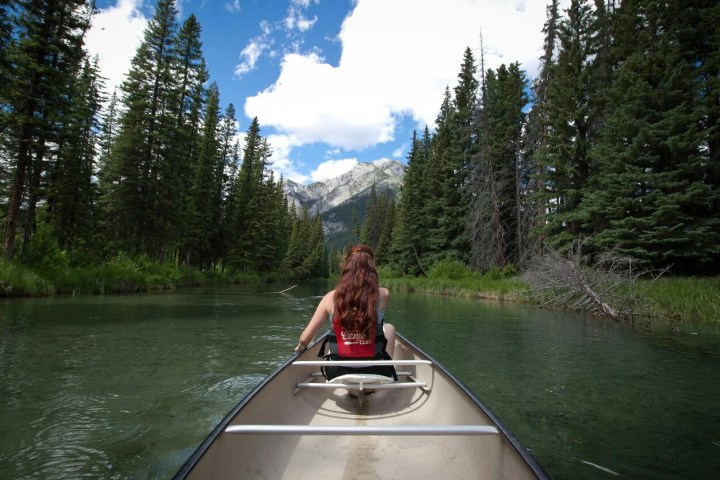 Person in a red life jacket canoeing on a forested river.