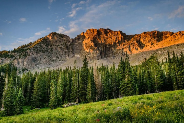 Mountain with trees under a sunset or sunrise sky.