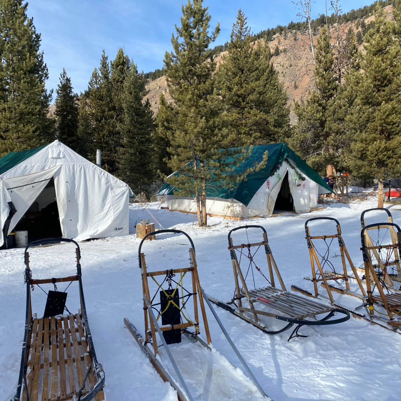 Snowy campsite with two tents, sleds, and pine trees.